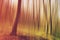 Blurred forest as abstract background of nature