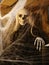 Blurred frightening skeleton in black robe sitting in wooden box behind web,with his arm on black-bound book