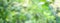 Blurred garden in spring nature outdoor background, Blur green tree park in summer background, banner, Defocus spring foliage