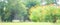 Blurred garden in spring nature outdoor background, Blur green tree park in summer background, banner, Defocus spring foliage