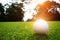 Blurred golf ball in beautiful golf course with sunset.