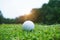 Blurred golf ball on green in the evening golf course with sunshine in thailand