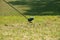 Blurred golf club and golf ball close up in grass field with sunset.