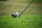 Blurred golf club and golf ball close up in grass field with sunset.