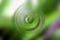 Blurred gradient radial motion green abstract background