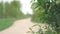 Blurred gravel country road on the agrarian field. Defocused video of forest road. Summer in the rain. Blur green grass