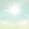 Blurred Green Spring Summer Nature Background with Sun Rays