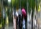 Blurred group of young people under umbrellas