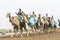 blurred image of camels in Rub al Khali Desert at the Empty Quarter, in Abu Dhabi, UAE