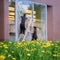 Blurred image of girls workers washing shop windows, spring, bright dandelions in foreground. Abstract background