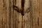 Blurred image of wooden texture background. Cropped shot of wooden wall. Abstract brown texture.