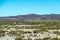 Blurred landscape of Bolivian desert in sunny day with blue sky Eduardo Avaroa Park, Bolivia