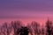 Blurred landscape. Defocused abstract photo of autumn forest at sunset. The beautiful gradient of the sky at sunset