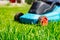 Blurred lawnmower electric machine trimming and focus on green grass. Lawn cutting