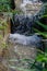 Blurred motion, defocus, noise, grain effect. The water flows th