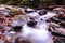 Blurred Motion River Photo in the Woods of the Great Smoky Mountains National Park.