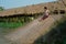 Blurred motion wet girl enjoys plays the slider in the mud pond in the farm