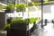 Blurred office space interior with green plant corner for relaxing