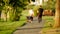 Blurred out-of-focus clip of young couple walking the dogs together in the park
