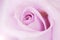 Blurred pale purple rose and light flare background