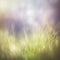 Blurred Pastel Grass on Ground in Nature. Perfect for Invitations and Posters.