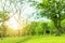 Blurred photo Beautiful meadow in the park with morning sky