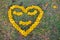 Blurred photo,Heart shaped symbols made of yellow flowers arranged on the green lawn look beautiful. The heart symbol represents