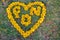 Blurred photo,Heart shaped symbols made of yellow flowers arranged on the green lawn look beautiful. The heart symbol represents t