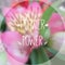 Blurred photographic background and text Flower power