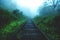 Blurred railway through foggy jungle forest, Ella Sri Lanka