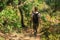 Blurred rear view of girl with backpack walking over trail through forest in sunny day. Female hiking. Wandering through wild