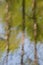Blurred reflection of trees