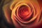 Blurred Rose Flower Background. Blurry Flower for Background. Generative AI