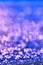 Blurred saturated abstract lilac dark blue background bokeh with free space for text, web design. Blurred raindrops on the grid