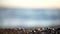 Blurred sea at sunset. Sun reflects and sparkles on waves with bokeh lights. Full HD slow motion video. Abstract summer