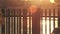 Blurred seascape at sunset, shot from fence, tilt shot, lens flare