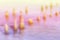 Blurred seaside photo, abstract background or texture