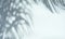 Blurred shadow of tropical palm leaves on gray wall background. Summer concept