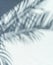 Blurred shadow of tropical palm leaves on gray wall background. Summer concept