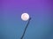 Blurred shadows of tree branch in front of full moon in the daytime. Against the blue sky background. Dramatic scene