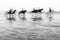 Blurred shot of horses riding through the lake