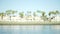 Blurred shot of oceanfront homes and palm trees under a sunny sky