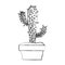 Blurred silhouette cactus with two branches in pot