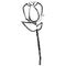 blurred silhouette tulip floral icon design