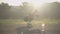 Blurred slim sportswoman doing morning exercises in sunlight with bottle of refreshing water standing at front