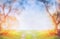 Blurred spring or autumn nature background with green sunny field and tree on blue sky