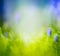 Blurred spring or summer nature background with grass and blue flowers