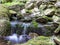 Blurred stream of a mountain stream flowing over moss and stones with lagoon