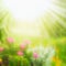 Blurred summer nature background with sun rays on sunny day