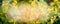 Blurred summer nature background with yellow garden or park flowers, banner
